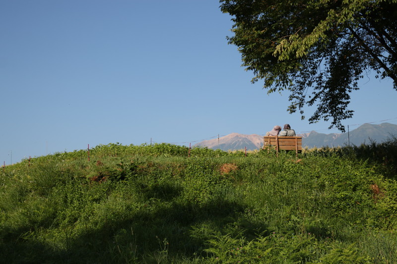 c0074553_15351009.jpg
