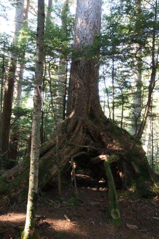 c0074553_15351095.jpg