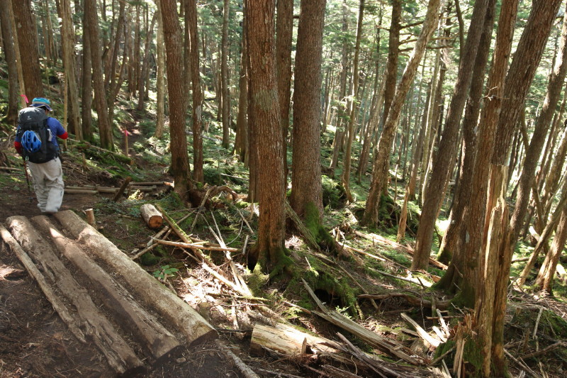 c0074553_15351099.jpg