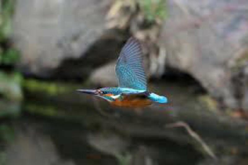 c0074553_15401849.jpg