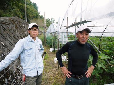 甘熟いちじく 令和元年度初出荷!大好評販売中!美味しい上に消化促進、二日酔い防止効果も期待できます!_a0254656_16304937.jpg