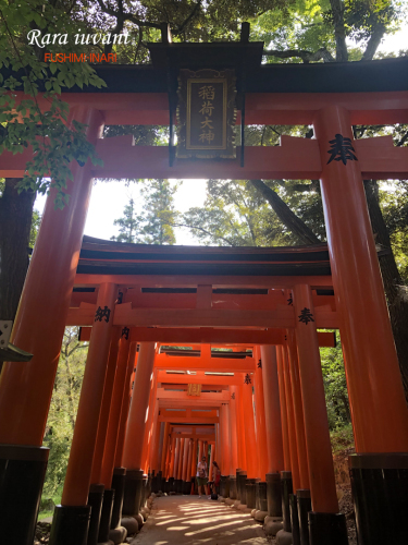 続・家族旅行_b0345658_23350624.jpg