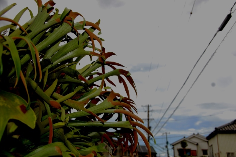 c0108460_13382966.jpg