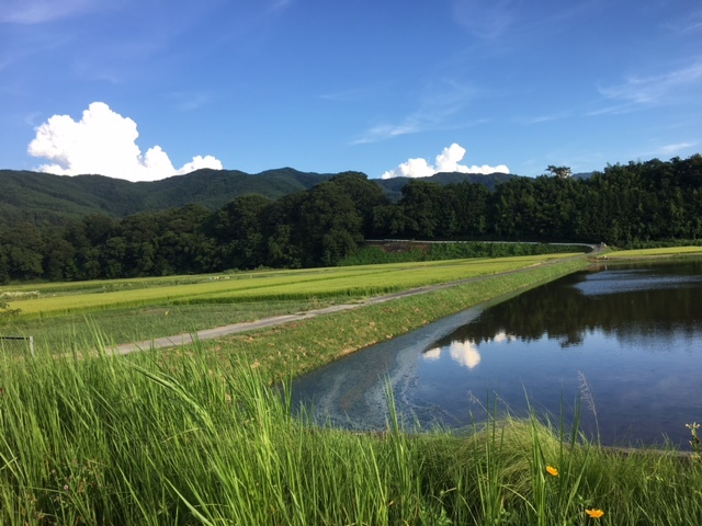 またな!伊那city!_c0162963_21255832.jpg