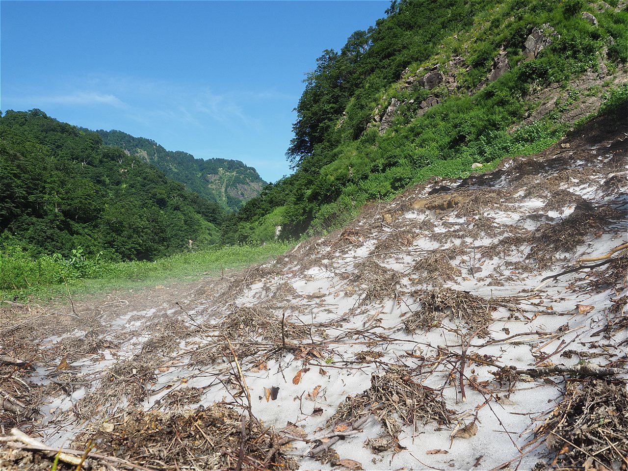 c0237264_18473037.jpg