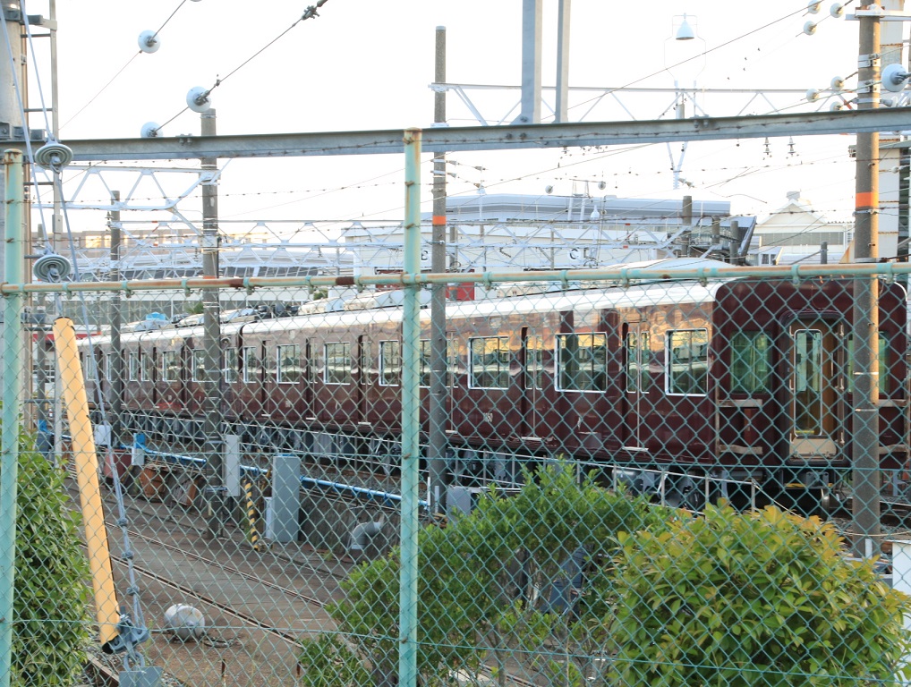 d0202264_43488.jpg
