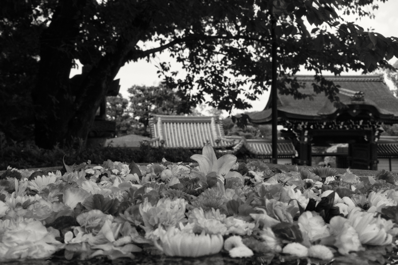 お盆_d0349265_16073396.jpg