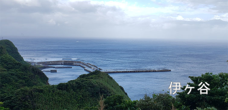 大久保・伊ヶ谷は凪ている_e0273365_09033605.jpg