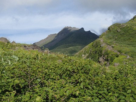 a0344771_07414792.jpg