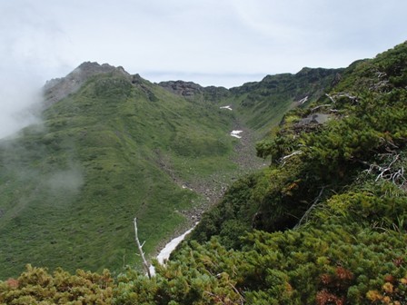 a0344771_12454062.jpg