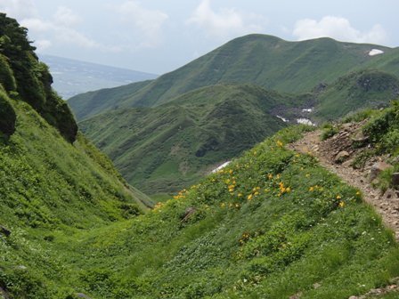 a0344771_12454598.jpg