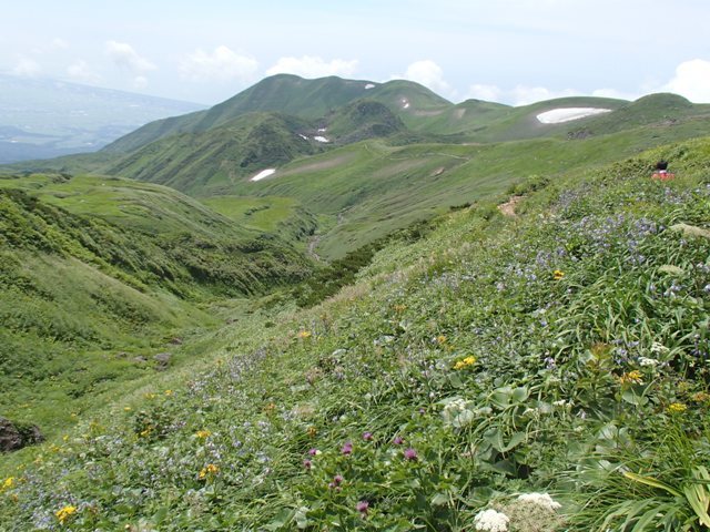 a0344771_12455101.jpg