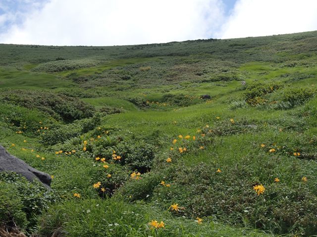 a0344771_12470549.jpg