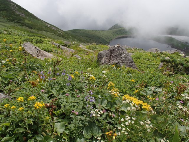 a0344771_12471151.jpg