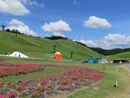 f0259373_10460635.jpg
