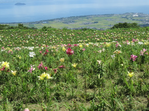 f0259373_11005644.jpg