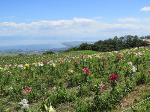 f0259373_11020799.jpg