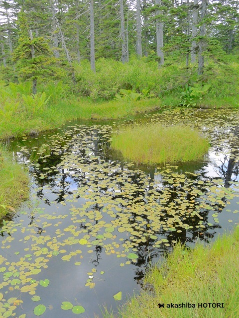 f0150377_22500682.jpg