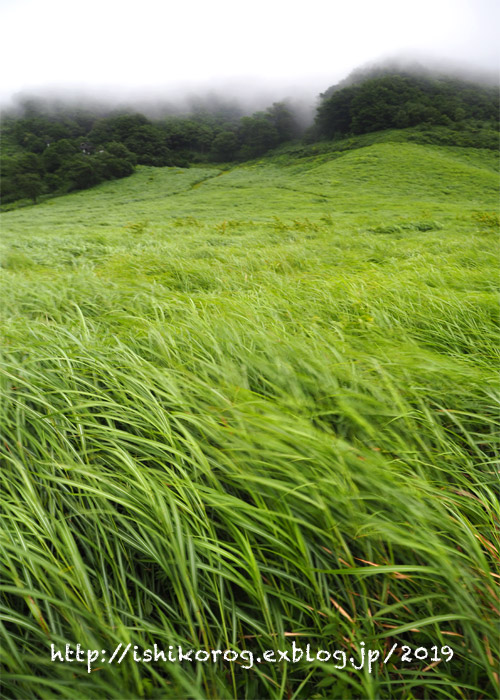 夏の大山・風と霧の鏡ヶ成_a0223379_19352117.jpg