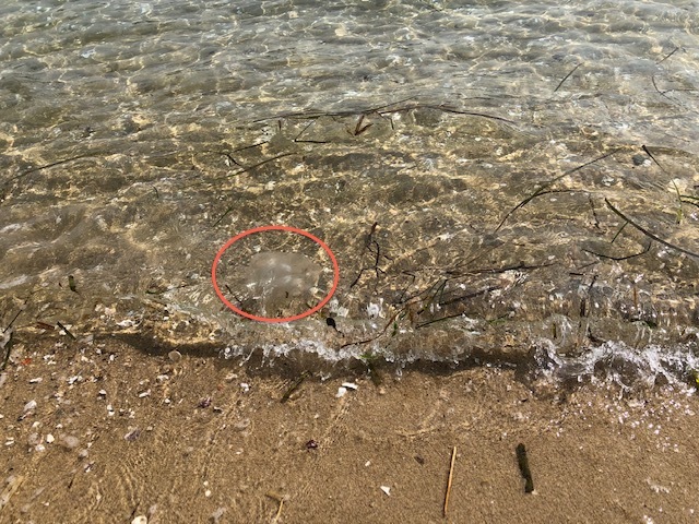 f0333882_15085202.jpg