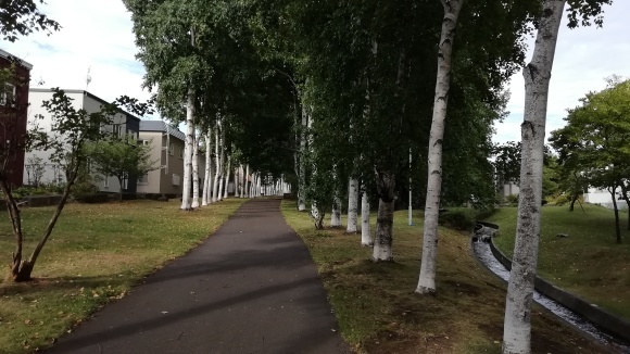 c0212083_13164144.jpg