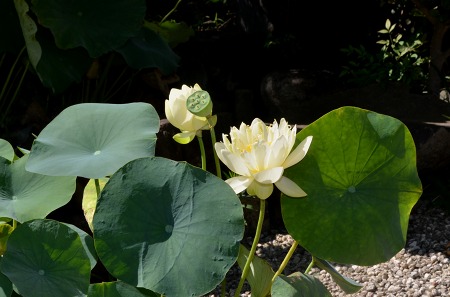 c0229483_1274980.jpg