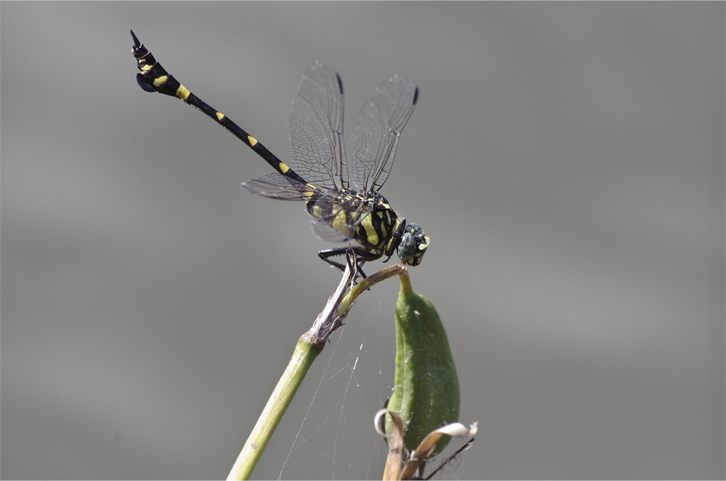 d0209988_23081765.jpg