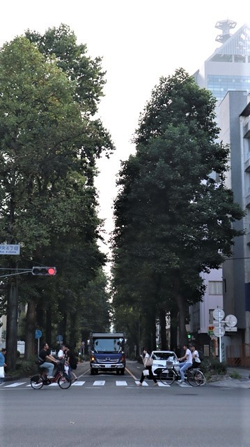 日本の祭り仙台七夕の美しい七夕飾り、日本の祭り「動」と「静」を考える。残虐な京都アニメーション(京アニ)放火事件_d0181492_08494243.jpg