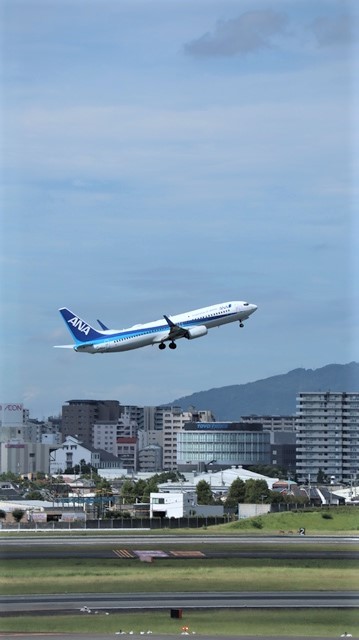 d0181492_20422261.jpg