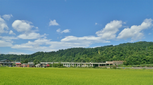 c0336902_18041569.jpg