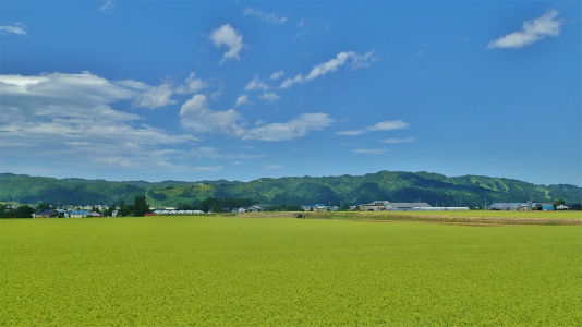 c0336902_18042107.jpg