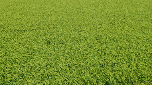 c0336902_18042401.jpg