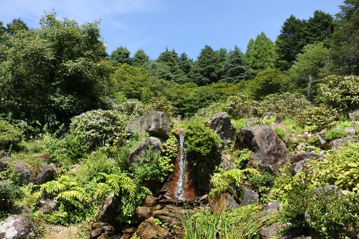 a0123003_10085719.jpg