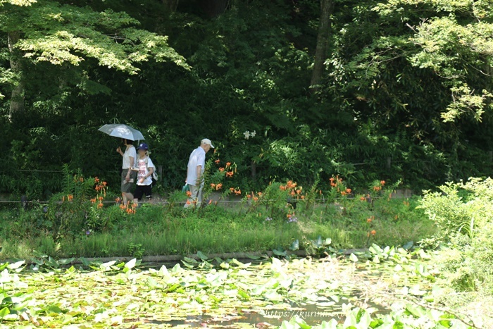 a0123003_10200555.jpg
