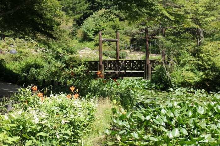 a0123003_10411963.jpg