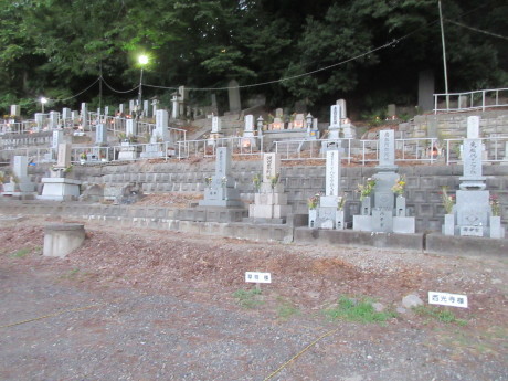 安富教授の解放譚「そして彼は彼女になった」_a0203003_21044382.jpg