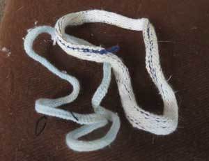 e0001110_10114995.jpg