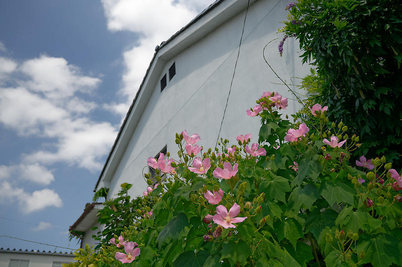 f0032011_17483645.jpg
