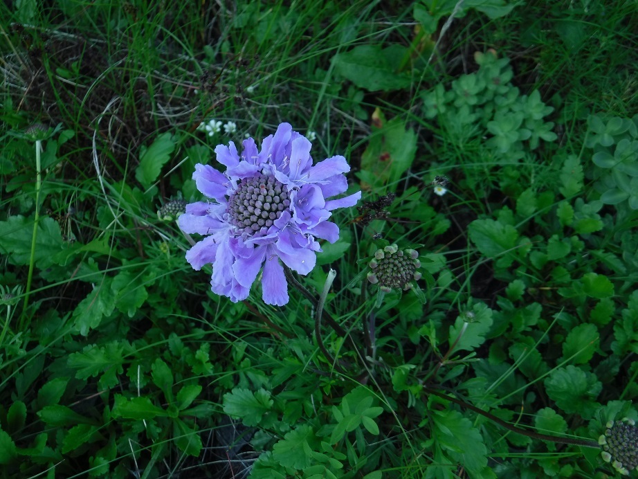 d0006512_14223392.jpg