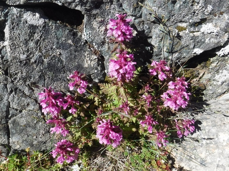 d0006512_14270034.jpg