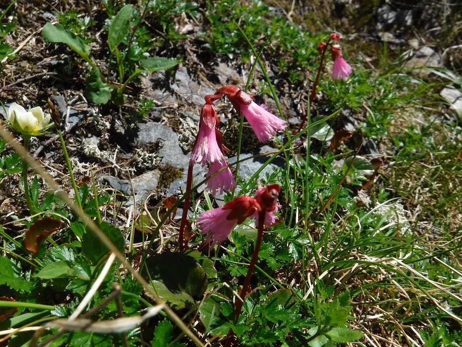d0006512_14320523.jpg