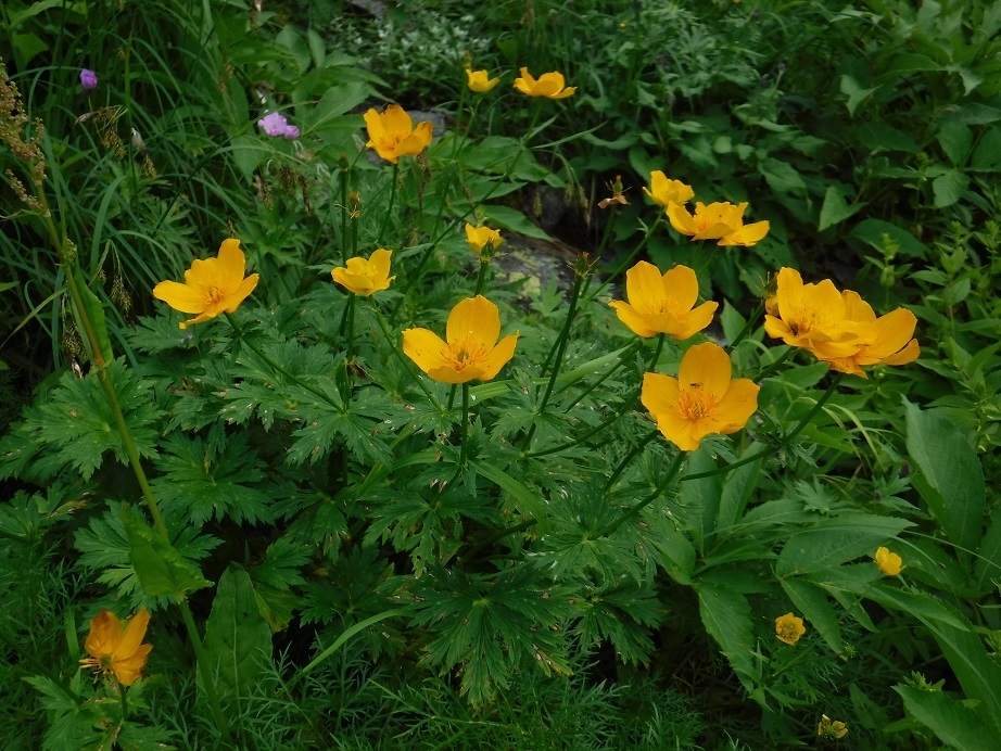 d0006512_14542776.jpg