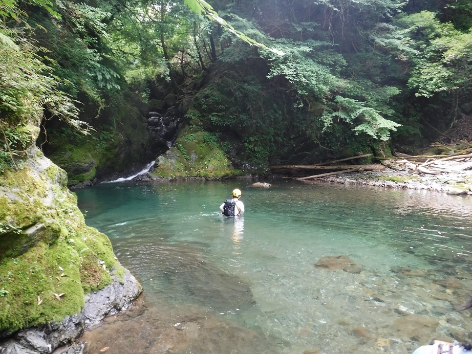 d0006512_16212908.jpg