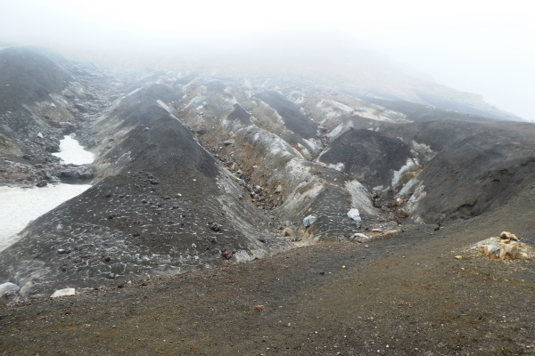 d0170615_20545153.jpg