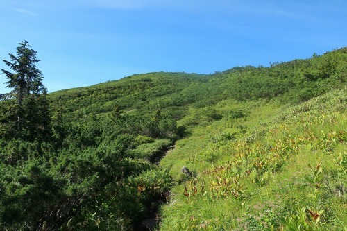 e0171018_19143094.jpg
