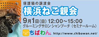 8/13 センターレポート【猫編】Part２_f0078320_01411041.jpg