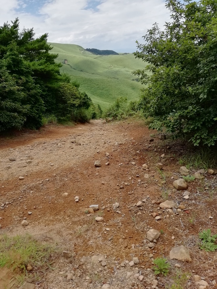 f0193521_2174164.jpg