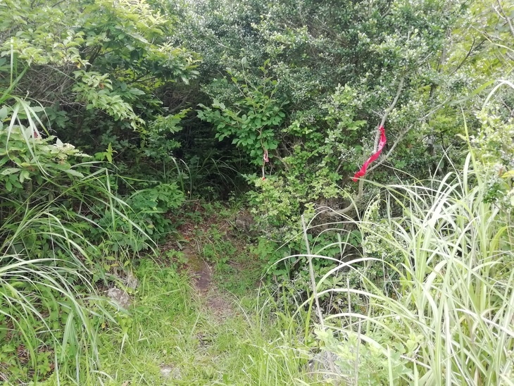 f0193521_5595223.jpg