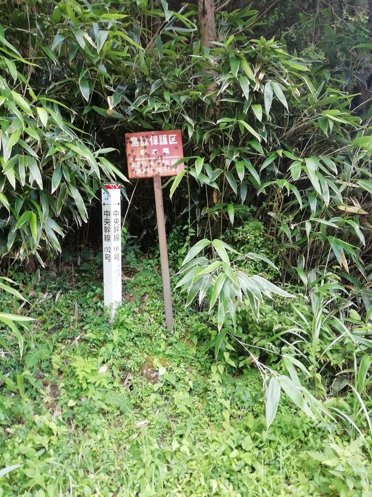f0193521_601938.jpg