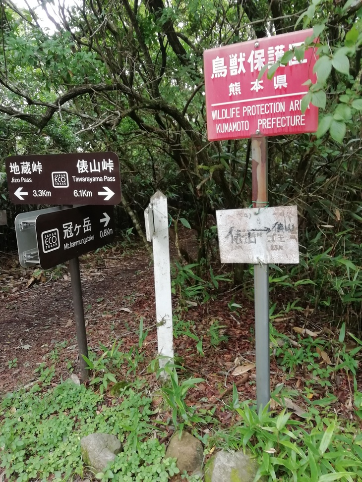 f0193521_8563553.jpg